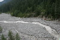 A close-up of Nisqually River